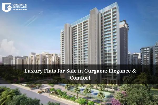 Luxury Flats for Sale in Gurgaon