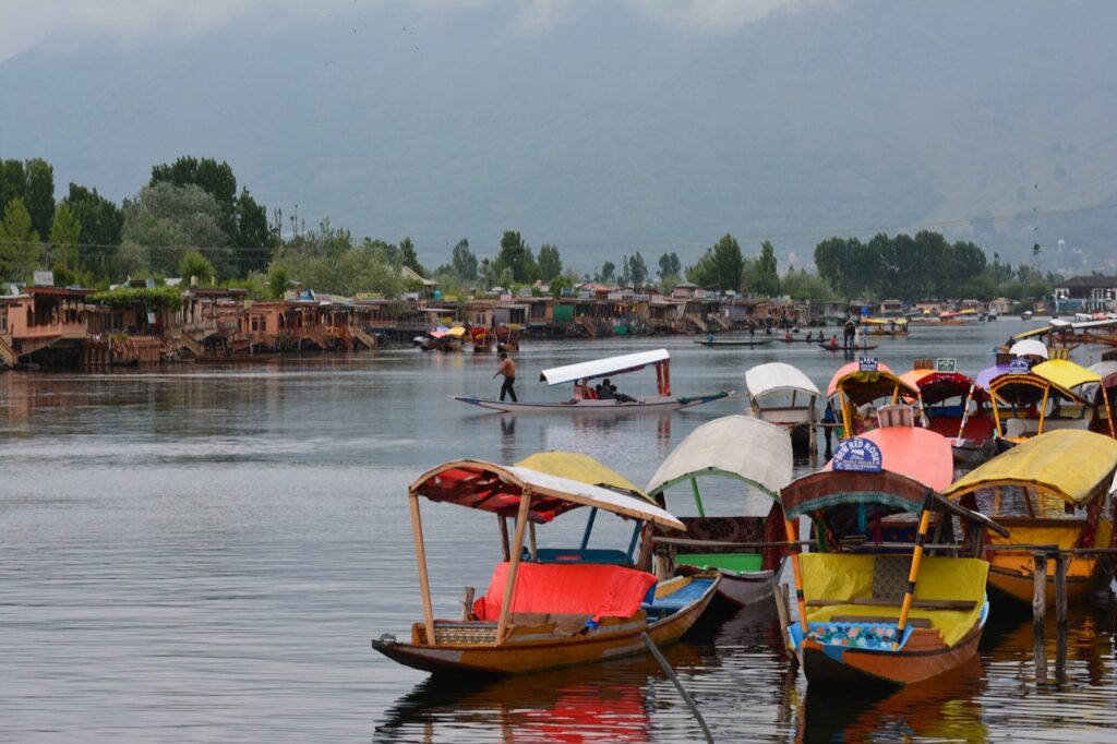 Kashmir tour guide