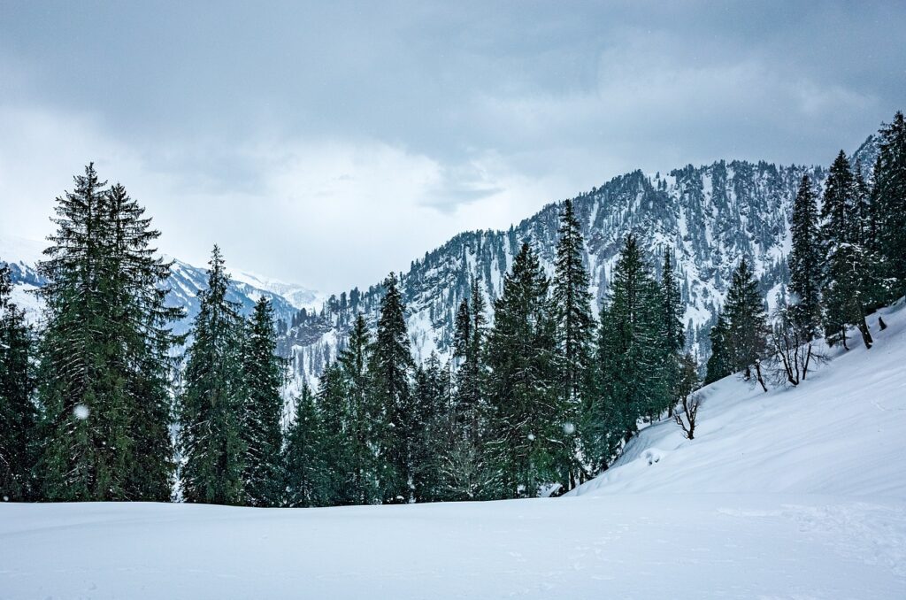 Shimla Manali tourism