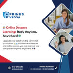 online distance learning (