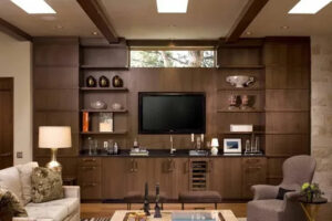 cabinets living room 