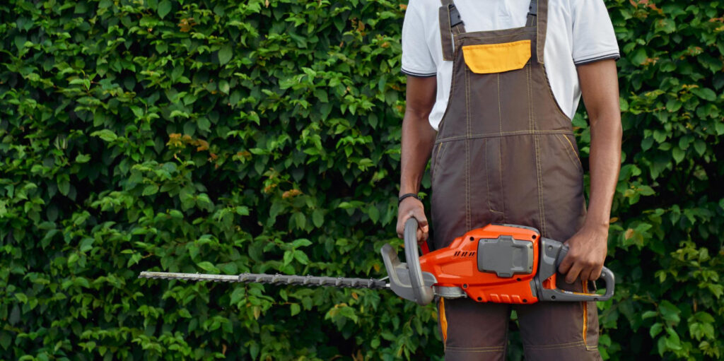 Comprehensive Tree Removal and Stump Grinding Services by Local Experts