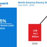 North America Savory Snacks Market