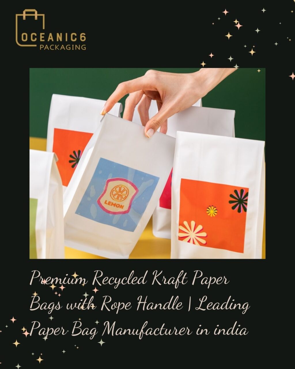 Premium Recycled Kraft Paper Bags with Rope Handle Leading Paper Bag Manufacturer in india