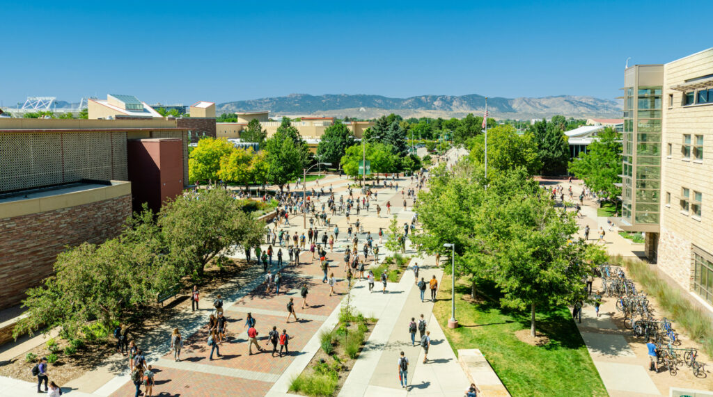 Undergraduate Courses