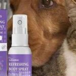 Eco-Friendly with Pets