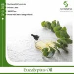 absolute oil suppliers in India
