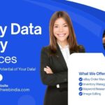 ebay data entry services