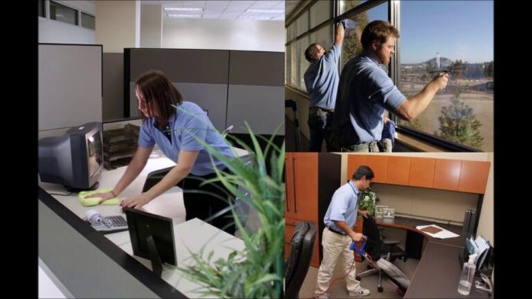 professional cleaning company florida