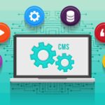 custom software development agency
