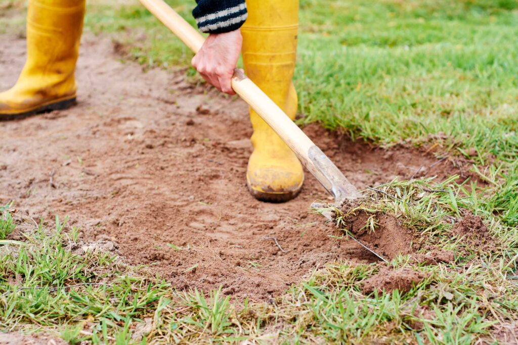 grass burr removal