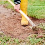 grass burr removal