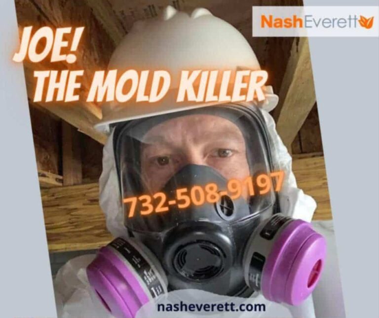 Black Mold