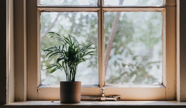 Replace windows in Sacramento