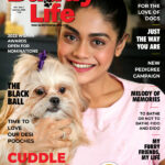 Magazine pets