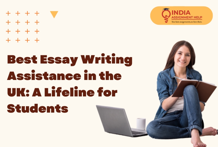 Essay Writing Assistance