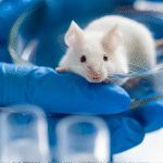 IBD Mouse Models