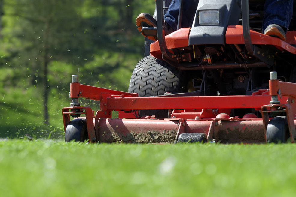 Garden Lawn Maintenance