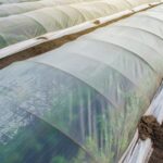 Polyethylene Film Greenhouse