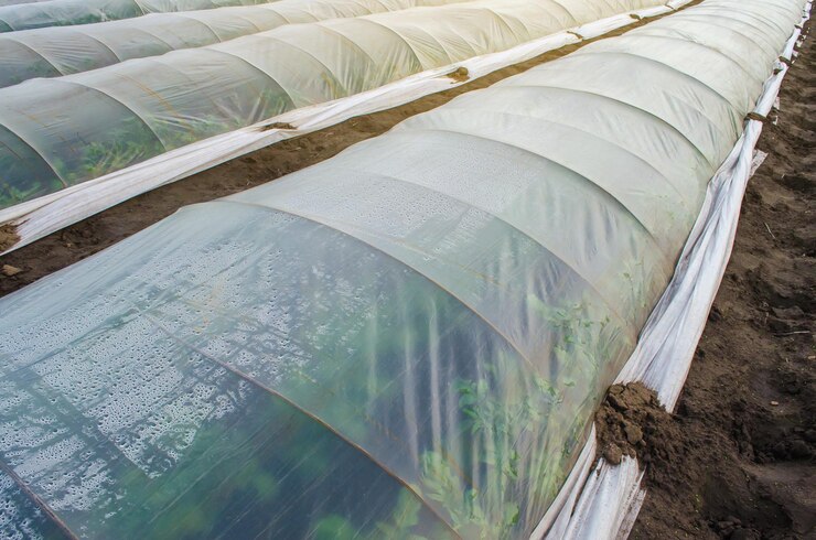 Polyethylene Film Greenhouse