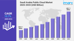 Saudi Arabia Public Cloud Market