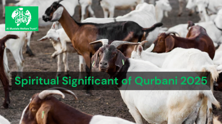Spiritual Significance of Qurbani 2025