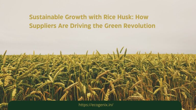 Sustainable Growth with Rice Husk How Suppliers Are Driving the Green Revolution