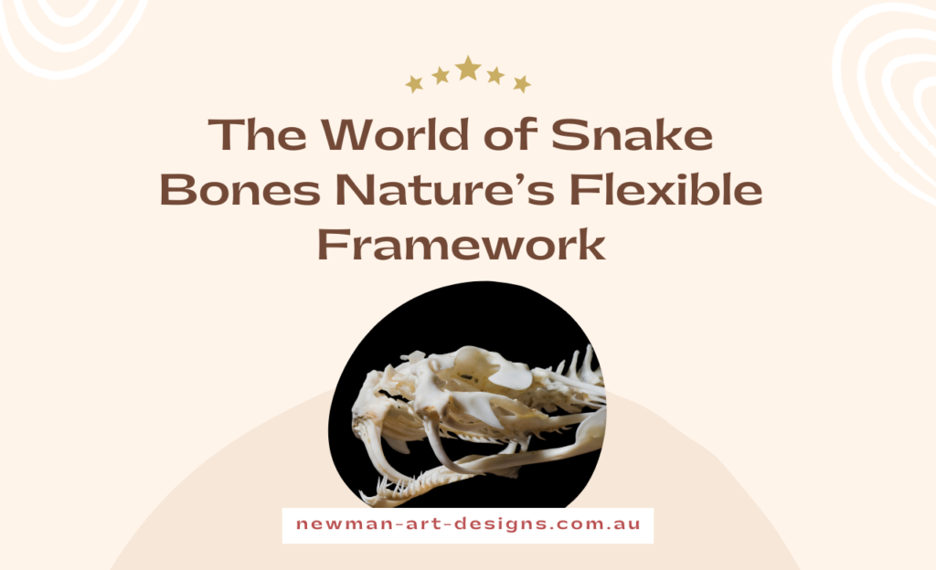Snake bones