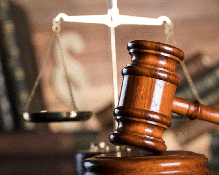 child custody lawyer in Delhi
