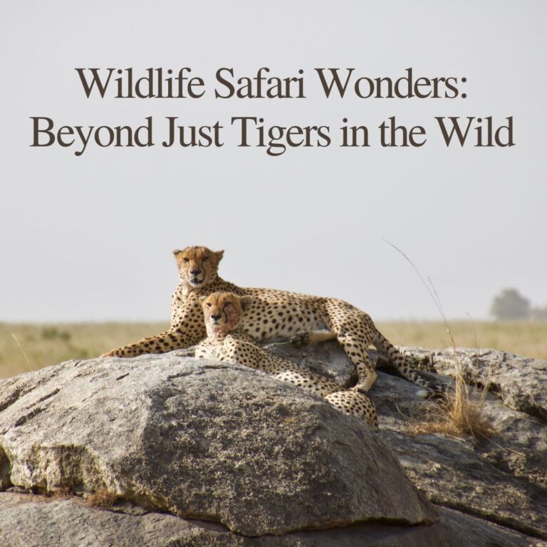 Wildlife Safari Wonders Beyond Just Tigers in the Wild