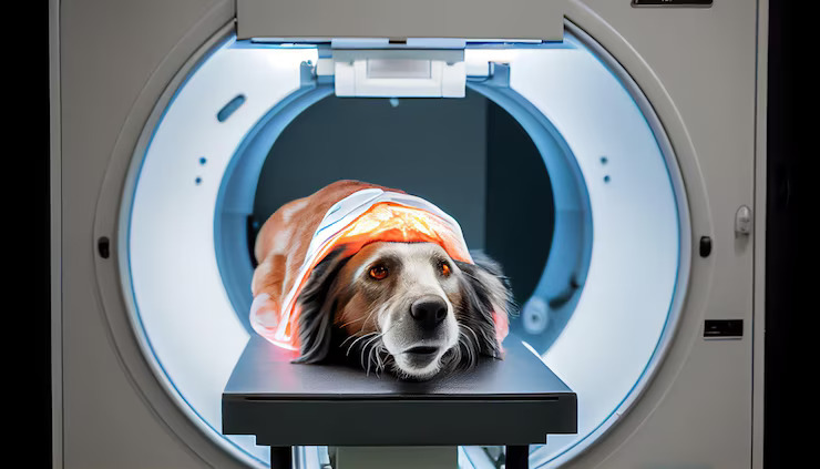 animal xray and ultrasound near me