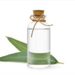 eucalyptus oil suppliers