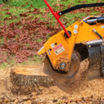 Stump Grinding A Tree Trunk - Close Up