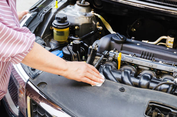 istockphoto-1785584668-612x612 (2)