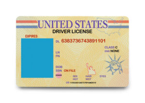 fake drivers licenses