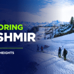 kashmir 6 nights 7 days package (1)