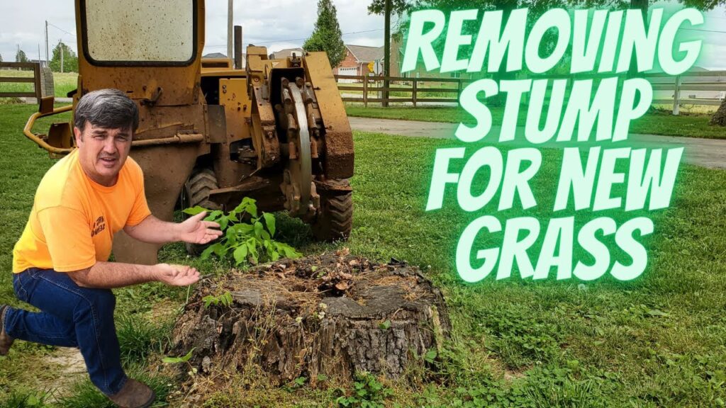 Stump contractor near me