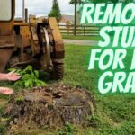 Stump contractor near me