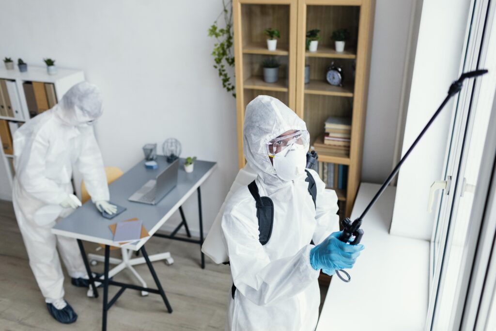 This One Termite and Pest Control Tip Changed Everything for My Home