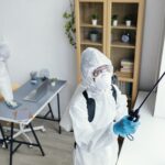 This One Termite and Pest Control Tip Changed Everything for My Home