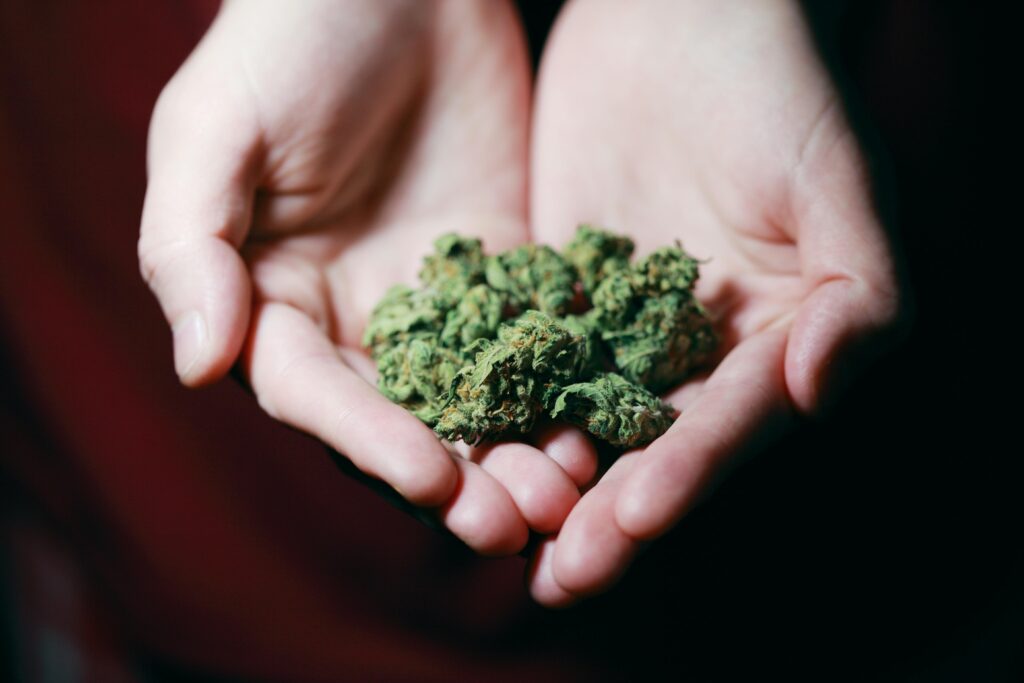 Weed Delivery Montreal: Everything You Need to Know (2025 Guide)