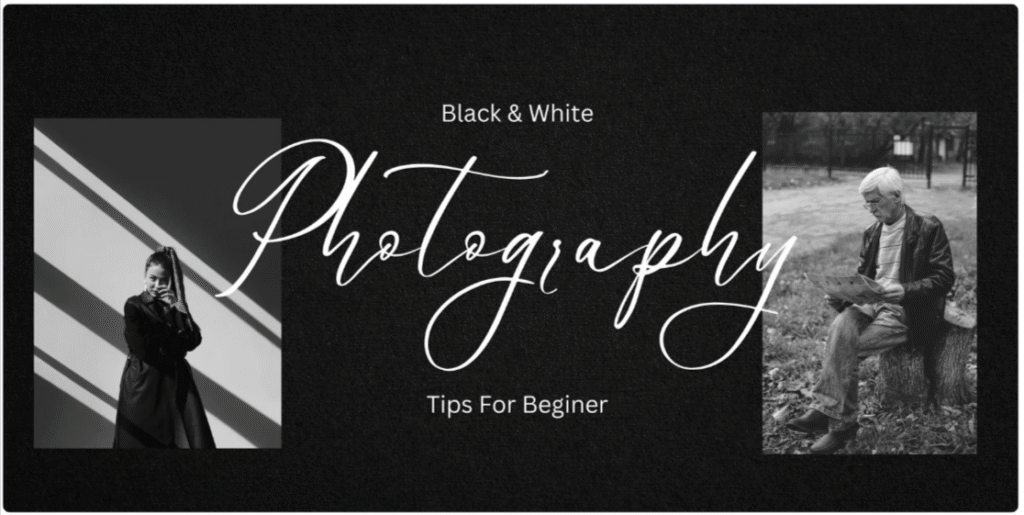 Photography WordPress Themes