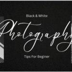 Photography WordPress Themes
