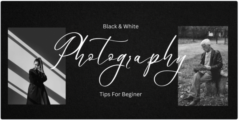 Photography WordPress Themes