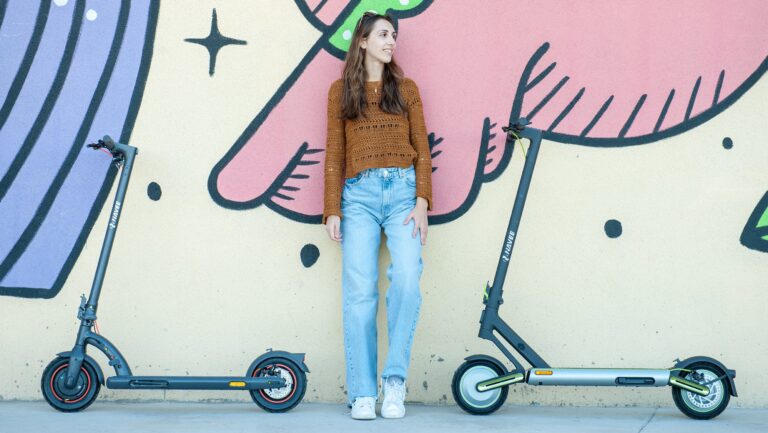 scoter