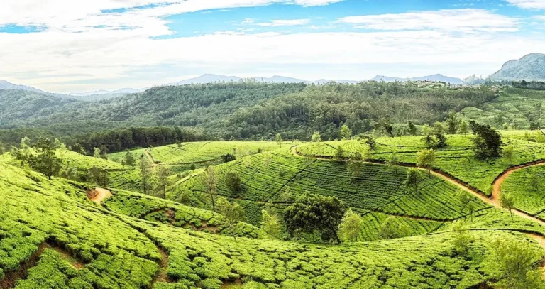 sri lanka