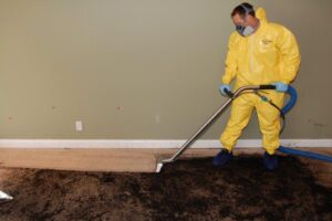 sewage cleanup company