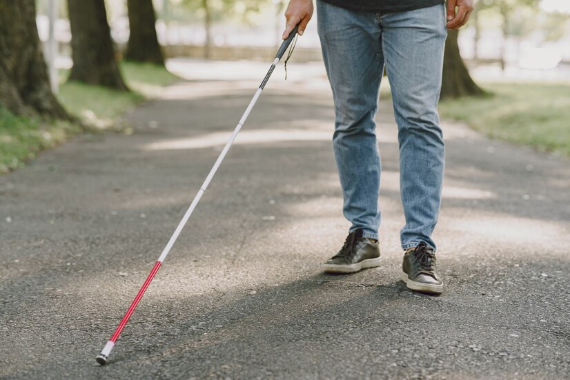 Vissco Walking Stick