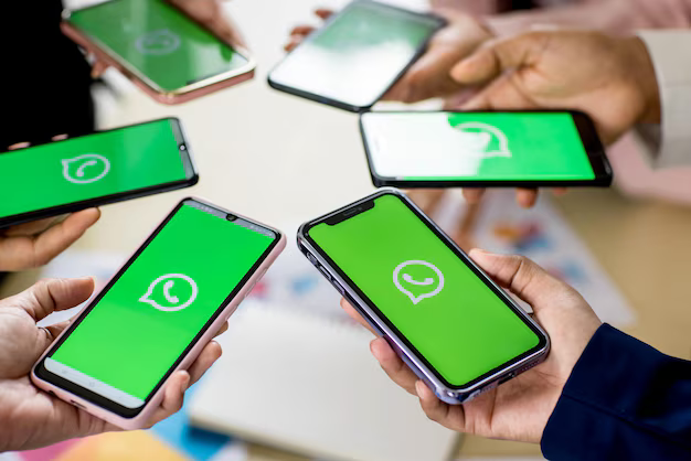 whatsapp business api provider