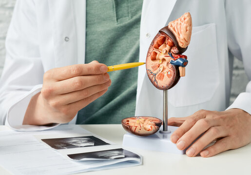 Top 7 Reasons to Consult a Urologist in Jaipur Without Delay
